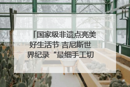 国家级非遗点亮美好生活节 吉尼斯世界纪录“最细手工切面”邀您来品！｜美好生活有“盐”味