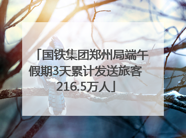 国铁集团郑州局端午假期3天累计发送旅客216.5万人