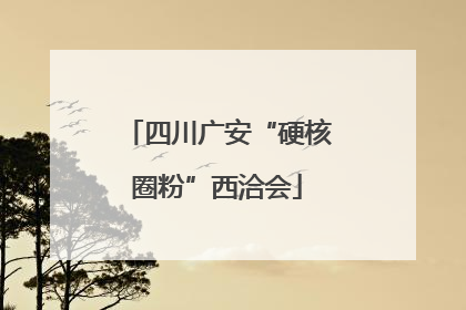 四川广安“硬核圈粉”西洽会