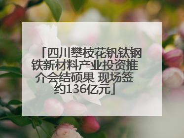 四川攀枝花钒钛钢铁新材料产业投资推介会结硕果 现场签约136亿元