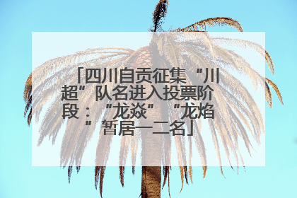 四川自贡征集“川超”队名进入投票阶段：“龙焱”“龙焰”暂居一二名