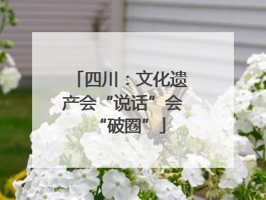 四川：文化遗产会“说话”会“破圈”