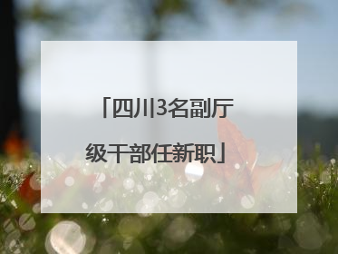 四川3名副厅级干部任新职