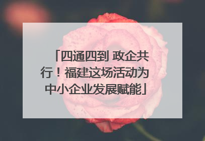 四通四到 政企共行！福建这场活动为中小企业发展赋能