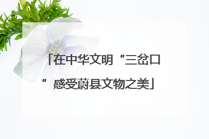 在中华文明“三岔口”感受蔚县文物之美