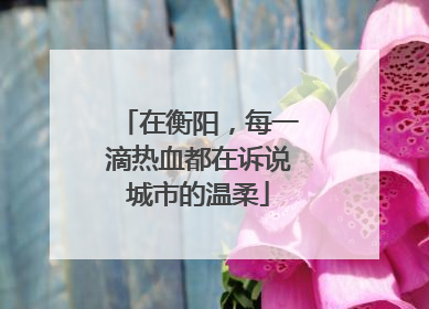 在衡阳，每一滴热血都在诉说城市的温柔