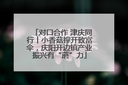 对口合作 津庆同行丨小香菇撑开致富伞，庆阳开边镇产业振兴有“蘑”力
