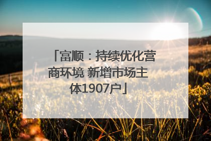 富顺：持续优化营商环境 新增市场主体1907户