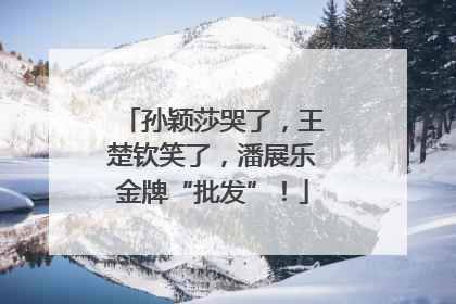 孙颖莎哭了，王楚钦笑了，潘展乐金牌“批发”！