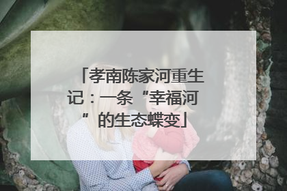 孝南陈家河重生记：一条“幸福河”的生态蝶变