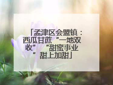 孟津区会盟镇：西瓜甘蔗“一地双收” “甜蜜事业”甜上加甜