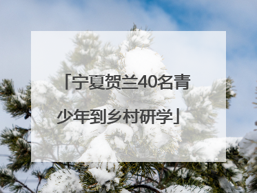 宁夏贺兰40名青少年到乡村研学