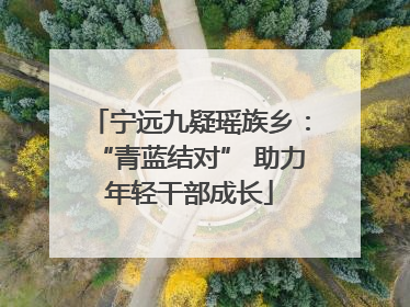 宁远九疑瑶族乡：“青蓝结对” 助力年轻干部成长
