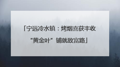 宁远冷水镇：烤烟喜获丰收 “黄金叶”铺就致富路