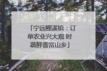宁远鲤溪镇：订单农业兴大观 时蔬鲜香富山乡