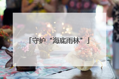 守护“海底雨林”