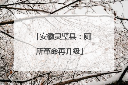 安徽灵璧县：厕所革命再升级