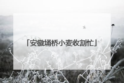 安徽埇桥小麦收割忙