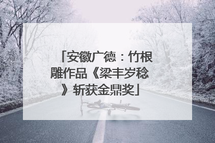 安徽广德：竹根雕作品《梁丰岁稔》斩获金鼎奖