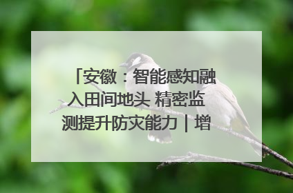 安徽：智能感知融入田间地头 精密监测提升防灾能力｜增发国债气象项目落地见效系列报道