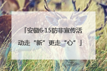 安徽6·15防非宣传活动走“新”更走“心”