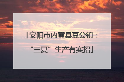 安阳市内黄县豆公镇：“三夏”生产有实招