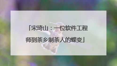 宋琦山：一位软件工程师到茶乡制茶人的蝶变