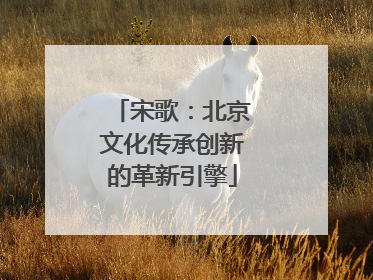 宋歌：北京文化传承创新的革新引擎