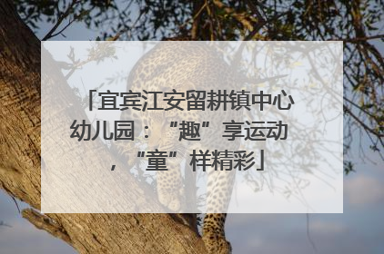 宜宾江安留耕镇中心幼儿园：“趣”享运动，“童”样精彩