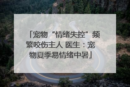 宠物“情绪失控”频繁咬伤主人 医生：宠物夏季易情绪中暑