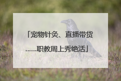 宠物针灸、直播带货……职教周上秀绝活