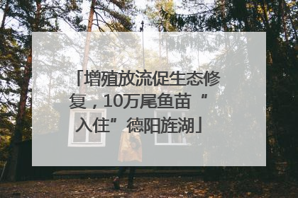 增殖放流促生态修复，10万尾鱼苗“入住”德阳旌湖