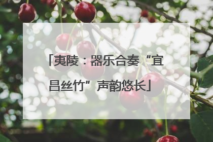 夷陵：器乐合奏“宜昌丝竹”声韵悠长