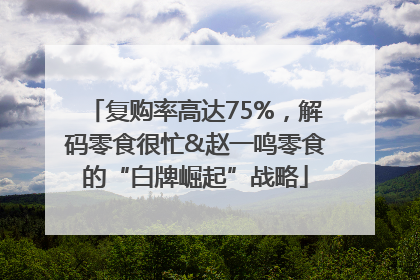 复购率高达75%，解码零食很忙&赵一鸣零食的“白牌崛起”战略
