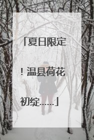 夏日限定!温县荷花初绽……