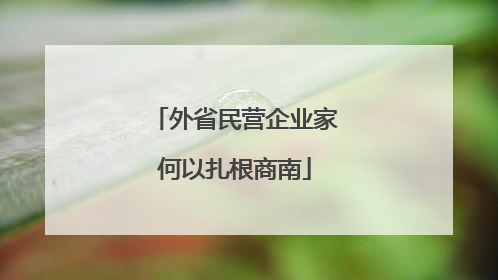 外省民营企业家何以扎根商南