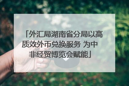 外汇局湖南省分局以高质效外币兑换服务 为中非经贸博览会赋能