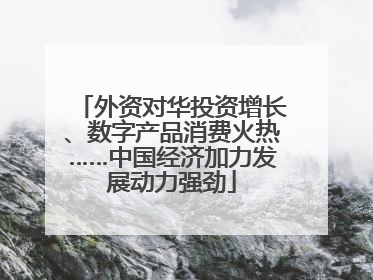 外资对华投资增长、数字产品消费火热……中国经济加力发展动力强劲