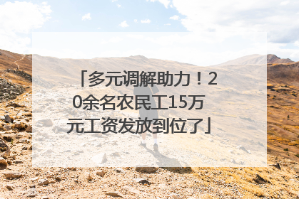 多元调解助力！20余名农民工15万元工资发放到位了