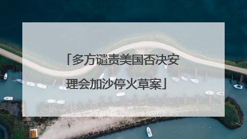 多方谴责美国否决安理会加沙停火草案