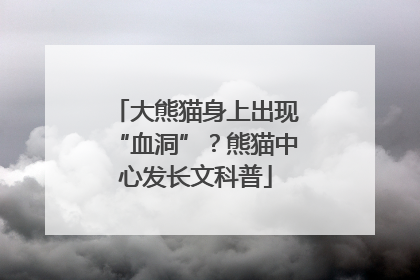 大熊猫身上出现“血洞”？熊猫中心发长文科普