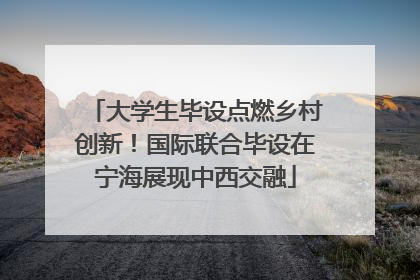 大学生毕设点燃乡村创新！国际联合毕设在宁海展现中西交融