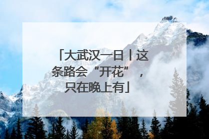 大武汉一日丨这条路会“开花”，只在晚上有