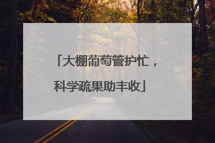 大棚葡萄管护忙，科学疏果助丰收