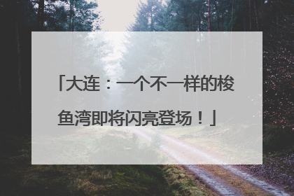大连：一个不一样的梭鱼湾即将闪亮登场！