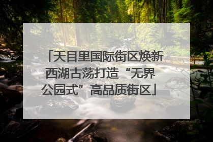 天目里国际街区焕新 西湖古荡打造“无界公园式”高品质街区
