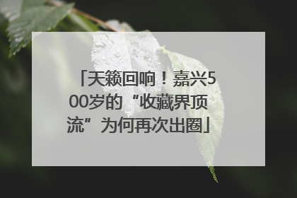 天籁回响！嘉兴500岁的“收藏界顶流”为何再次出圈