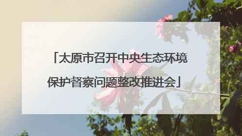 太原市召开中央生态环境保护督察问题整改推进会