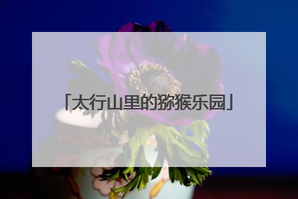 太行山里的猕猴乐园