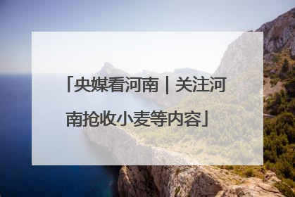 央媒看河南｜关注河南抢收小麦等内容